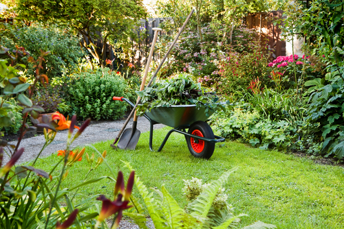 Transform Your Garden with Expert Gardening Services in Maidenhead