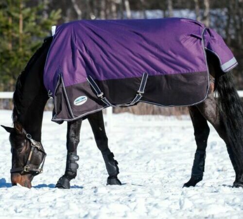 What to Consider When Buying Turnout Rug for Horses