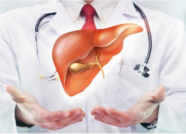 Liver Transplants for Severe Liver Disease: Why Choose a Specialised Hospital?