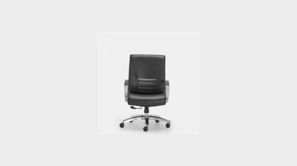 Back Pain at Work? Here’s Why Premium Desk Chairs are The Solution