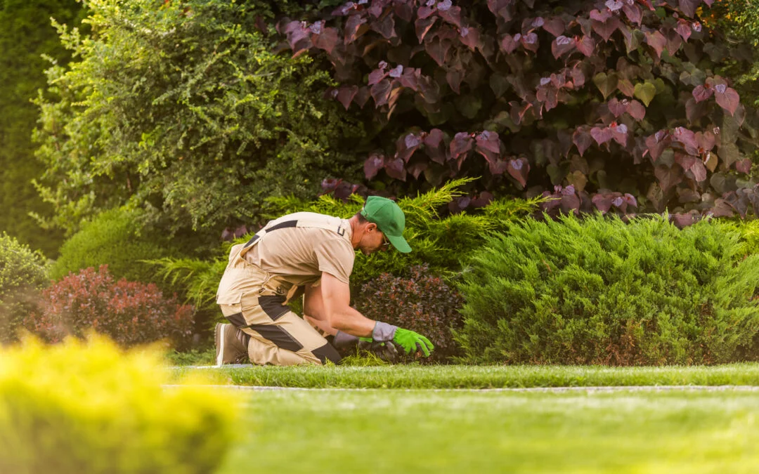 Transforming Outdoor Spaces: The Value of Professional Landscaping in Malaysia