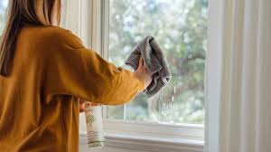 Spot-Free or Not? Decoding the Most Common Window Cleaning Challenges