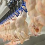 slaughtering equipment