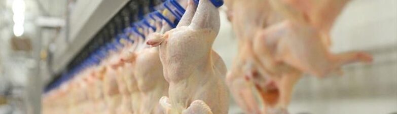 slaughtering equipment