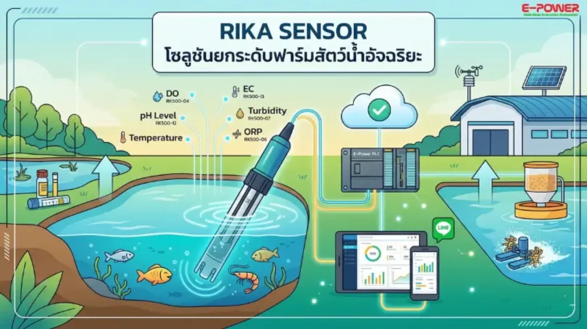 How Rika Sensors Support IoT-Based Solutions