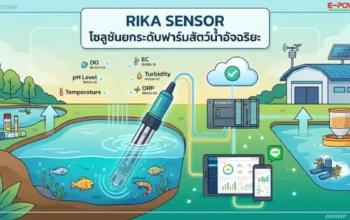 Rika Sensor