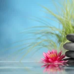 Women’s Wellness Physiotherapy