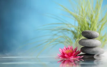 Women’s Wellness Physiotherapy