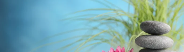 Women’s Wellness Physiotherapy