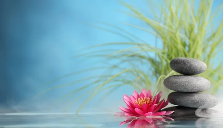 Women’s Wellness Physiotherapy