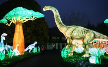 zoo lantern festival