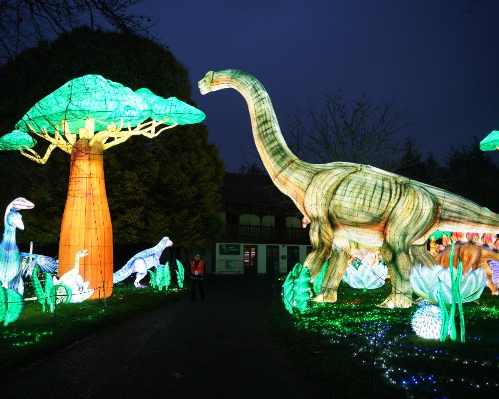 Zoo Lantern Festival: Transforming Wildlife Parks into Illuminated Nighttime Experiences